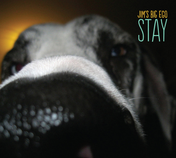 cover of Stay