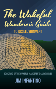 The Wakeful Wandererrsquos Guide to Disillusionment